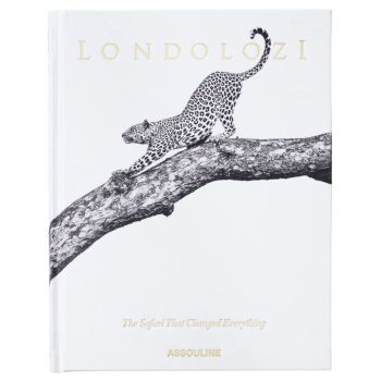 Londolozi: The Safari that Changed Everything