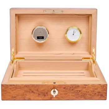 Rapport London 25 Cigar Humidor Burr - Walnut
