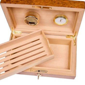 Rapport London 25 Cigar Humidor Burr - Walnut