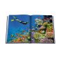 Assouline Ocean Wanderlust