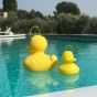 Goodnight Light The Duck Duck Lamp - XL