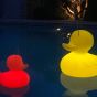 Goodnight Light The Duck Duck Lamp - Small