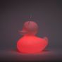 Goodnight Light The Duck Duck Lamp - XL