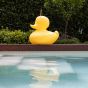 Goodnight Light The Duck Duck Lamp - XL