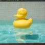 Goodnight Light The Duck Duck Lamp - XL