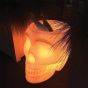 Qeeboo Mexico Skull Planter and Cooler Lamp White