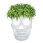Qeeboo Mexico Skull Planter and Cooler Lamp White