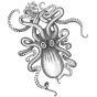The Kraken Black Spiced rum