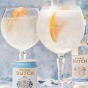 Gin Tonic ultimate miniatures tasting pack