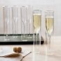 Inside Out Champagne Glass Double Walled
