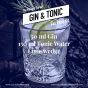 The Gold As Ice HAVN Gin & Tonic Set with Double Dutch mixers
