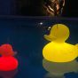 Goodnight Light The Duck Duck Lamp - Duo