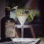The Ultimate Limoncello Martini Cocktail Kit