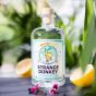 Donkey-Monkey-Horse gin tonic tasting pack