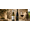 Cantina Mabis | Logo