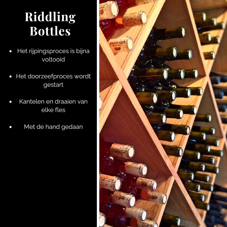 5_-_Riddling_Bottles_-_NL