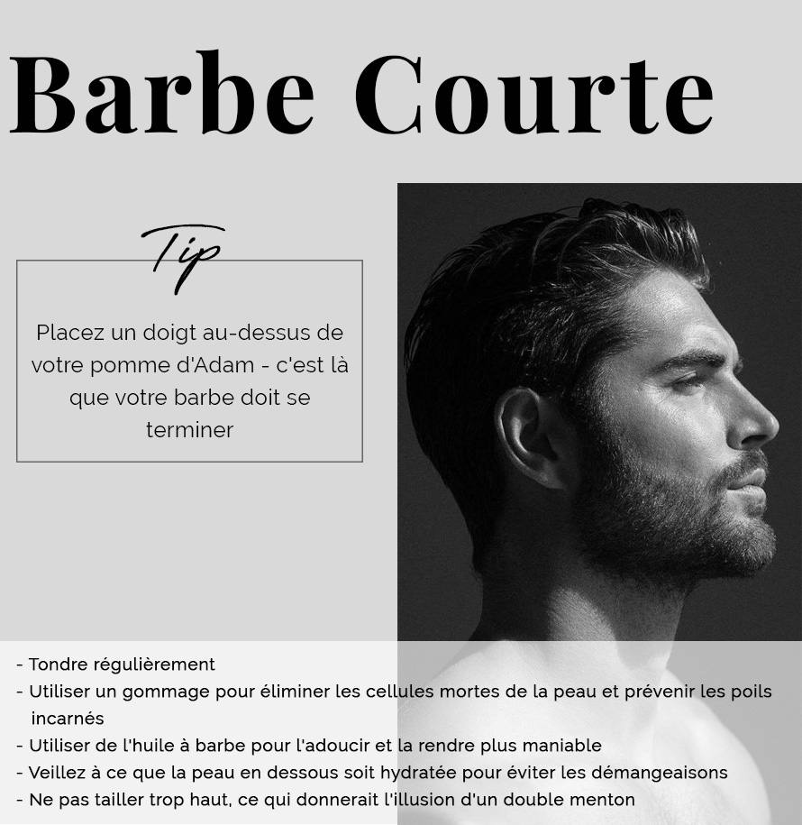 Techniques_De_Toilettage_Barbe_Courte