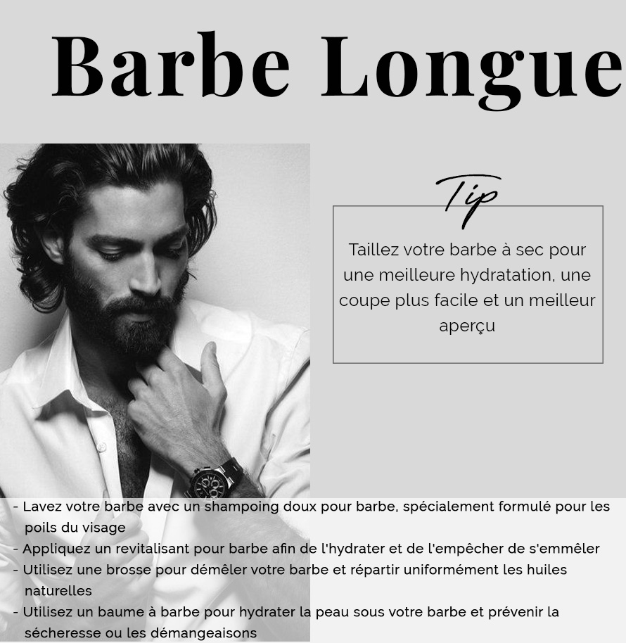 Techniques_de_toillettage_Barbe_Longue
